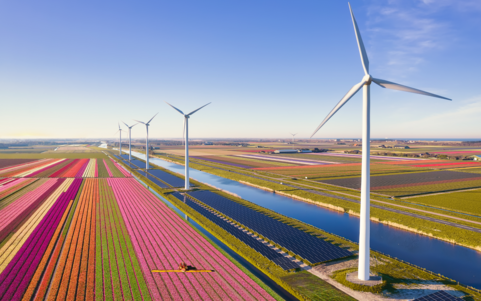 Windmills on a colorful field